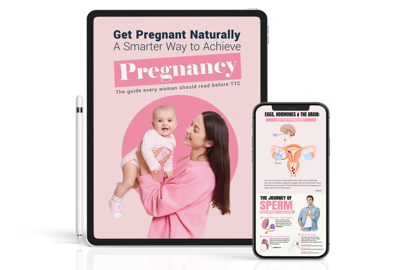 The Conceive Life eBook cover